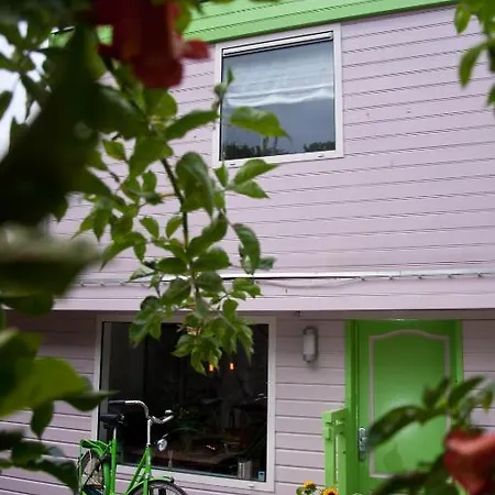 Minties Houseboat Bed & Breakfast Amsterdam